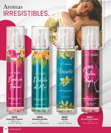 Catálogo Zermat Página 96