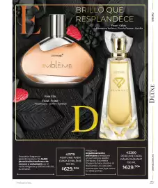 Catálogo Zermat Página 100