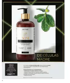 Catálogo Zermat Página 121