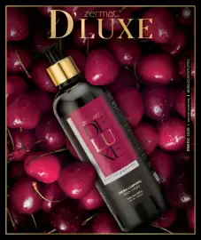 Catálogo Zermat Página 124