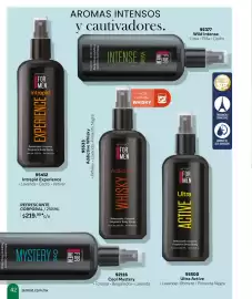 Catálogo Zermat Página 42