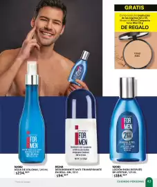 Catálogo Zermat Página 43