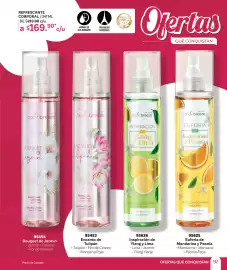 Catálogo Zermat Página 97