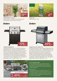 Pflanzen Kölle Prospekt Seite 3