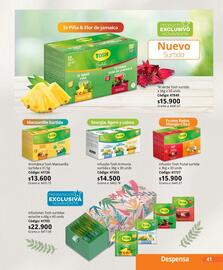 Catálogo Nova Venta Página 41