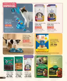 Catálogo Nova Venta Página 110