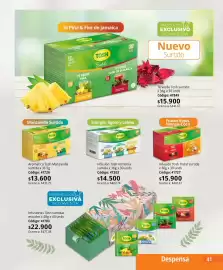 Catálogo Nova Venta Página 41