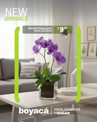 Catálogo Boyacá (válido hasta 8-01)