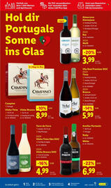 Lidl Prospekt Seite 15