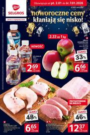 Selgros gazetka tydzień 1 Strona 1
