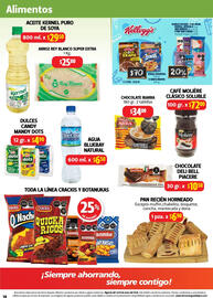 Folleto Farmacias Guadalajara Página 14