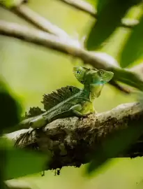 Catalogue Ponant page 5