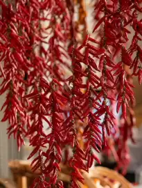 Catalogue Ponant page 54