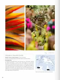 Catalogue Ponant page 80