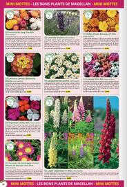 Catalogue Magellan page 30