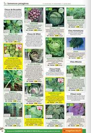 Catalogue Magellan page 40