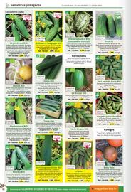 Catalogue Magellan page 42