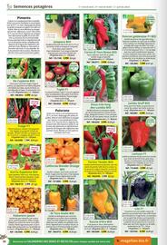 Catalogue Magellan page 58