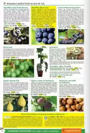 Catalogue Magellan page 12