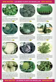 Catalogue Magellan page 22