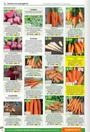 Catalogue Magellan page 34