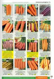 Catalogue Magellan page 35