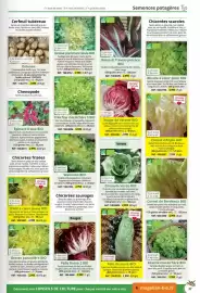Catalogue Magellan page 37