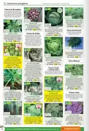 Catalogue Magellan page 40