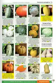 Catalogue Magellan page 43