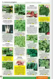 Catalogue Magellan page 46