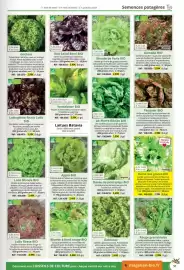 Catalogue Magellan page 51