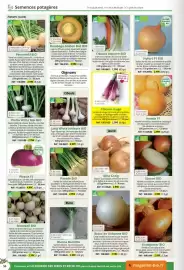 Catalogue Magellan page 56