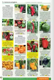 Catalogue Magellan page 58