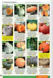 Catalogue Magellan page 62