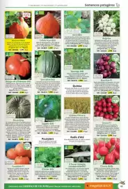 Catalogue Magellan page 63