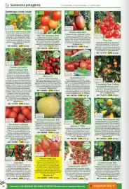 Catalogue Magellan page 72