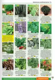 Catalogue Magellan page 77