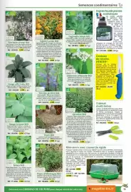 Catalogue Magellan page 79