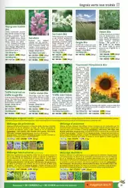 Catalogue Magellan page 81