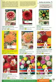 Catalogue Magellan page 89