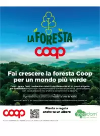 Volantino Ipercoop Pagina 12