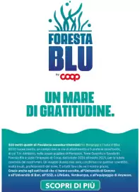 Volantino Ipercoop Pagina 13