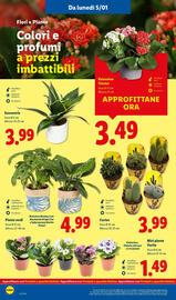 Volantino Lidl settimana 2 Pagina 36