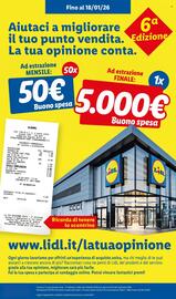 Volantino Lidl settimana 2 Pagina 45