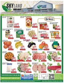 Skyland Foodmart flyer week 1 Page 1