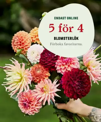 Blomsterlandet reklamblad (giltig till och med 7-01)