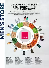 AVON catalogue Page 100