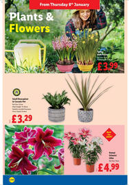 Lidl leaflet week 2 Page 20
