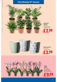 Lidl leaflet week 2 Page 21