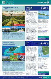 ALDI Nord Reisen Prospekt Seite 19